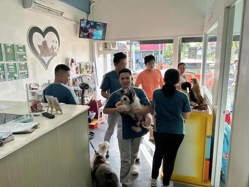 Inside the Green Tails veterinary clinic and pet supply shop in Bacolod City